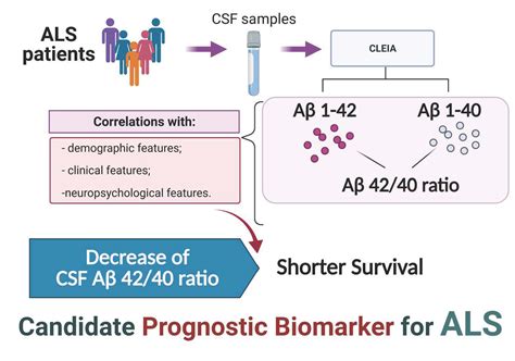 beta amyloid 42/40 ratio|Advantages and disadvantages of the use of the CSF Amyloid β (Aβ) 42/40 .